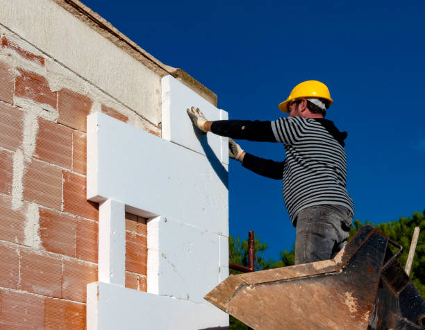 Best Insulation for New Construction  in Plainview, TX