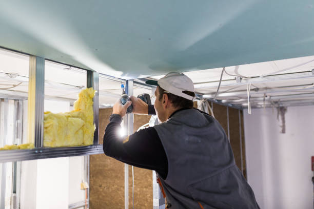 Garage Insulation Installation in Plainview, TX