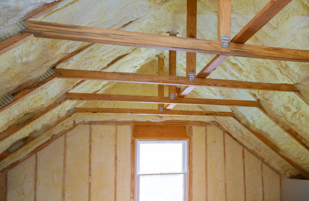 Best Insulation Contractor Near Me  in Plainview, TX