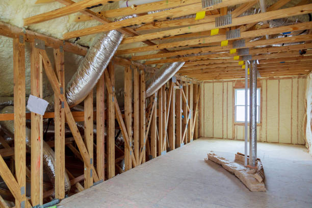 Best Insulation Removal  in Plainview, TX