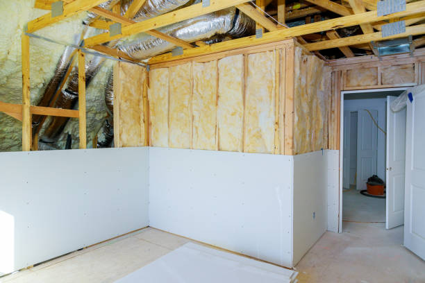 Best Home Insulation Services  in Plainview, TX