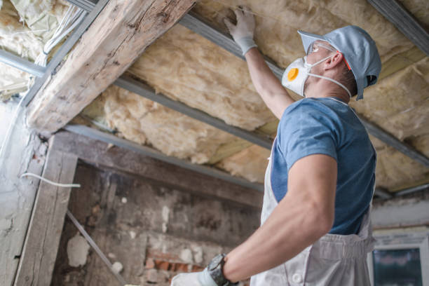 Best Garage Insulation Installation  in Plainview, TX