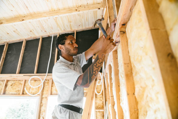 Best Residential Insulation Services  in Plainview, TX